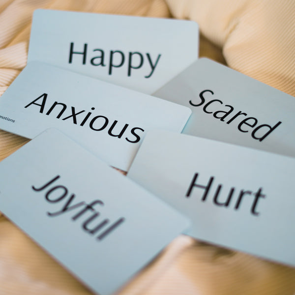 Feelings and Needs Prayer Card Set